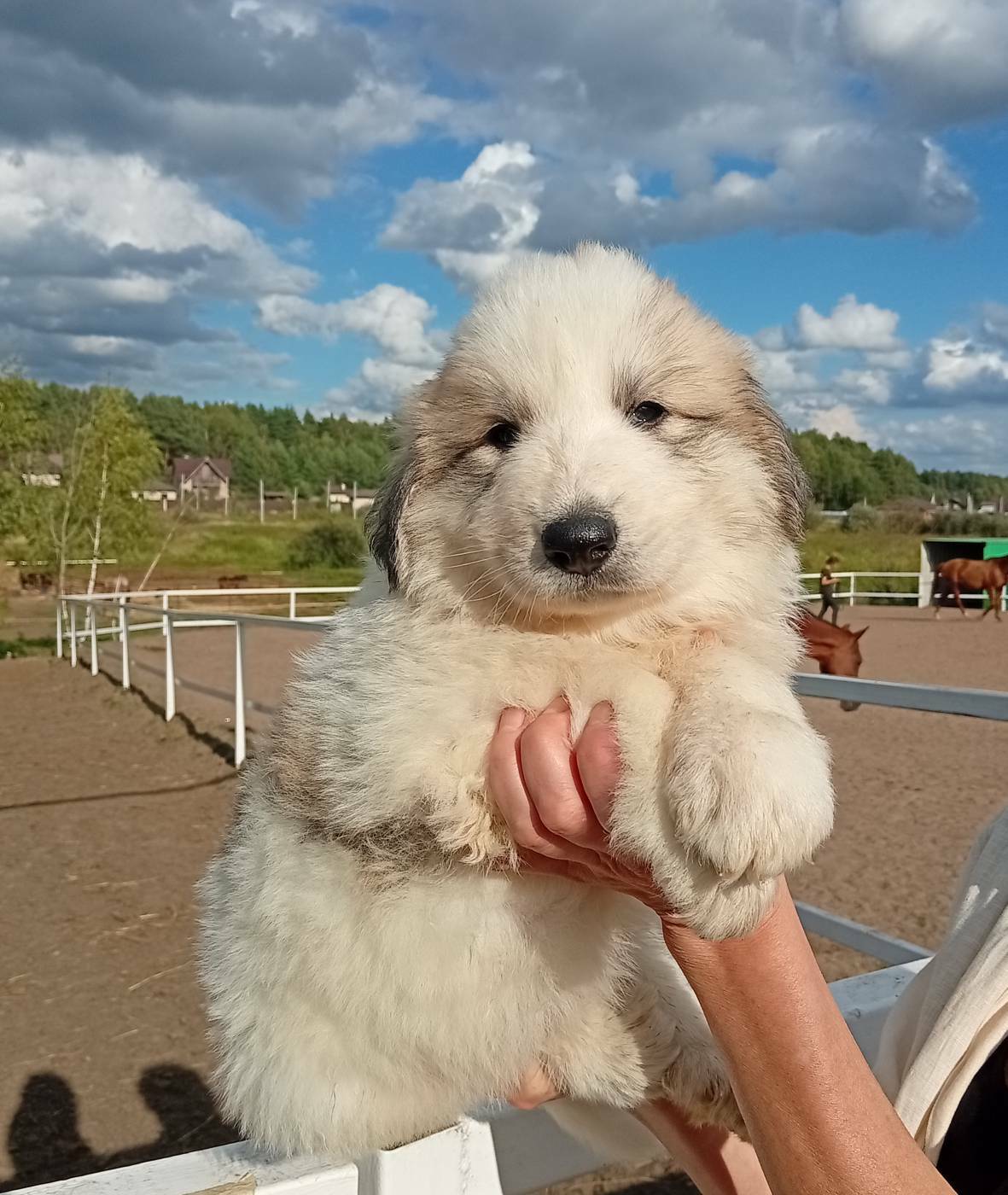 Мальчик1 